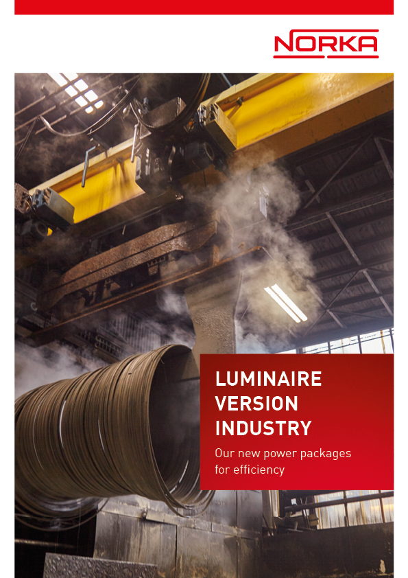 Luminaire version INDUSTRY