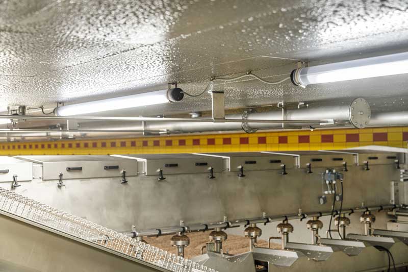Lighting in a tank for malt production with condensate on the ceiling.