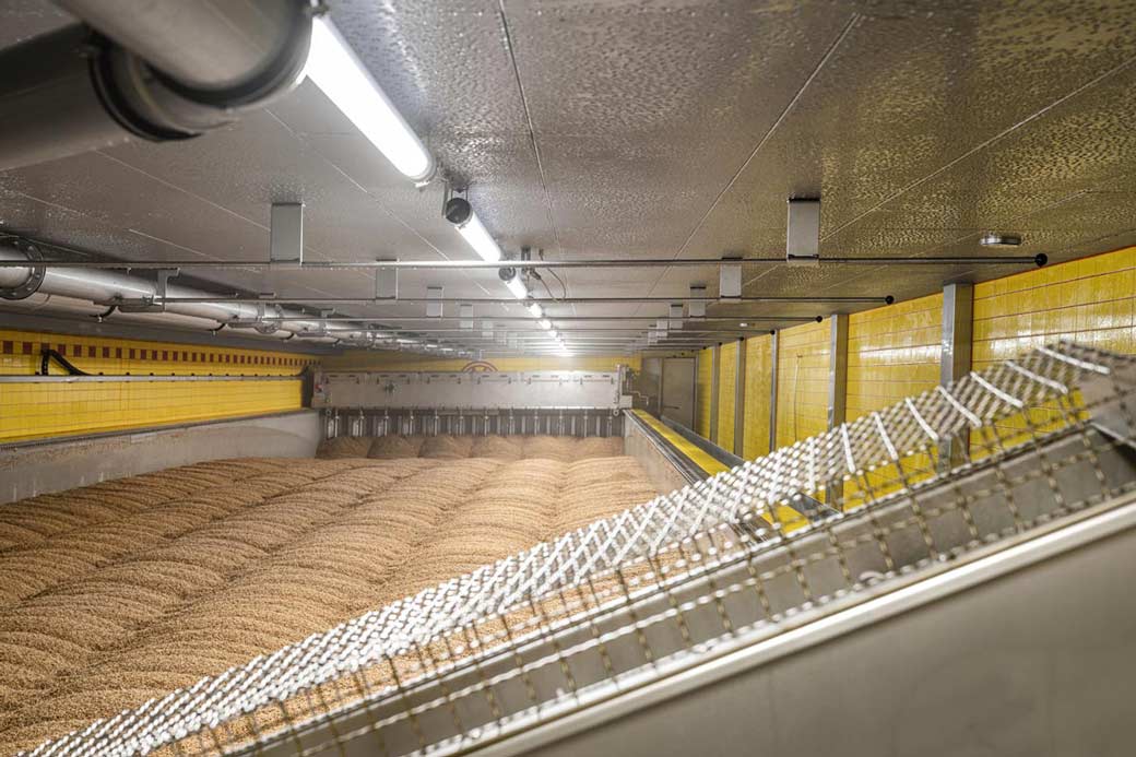 100 tonnes d'orge dans ce microclimat
