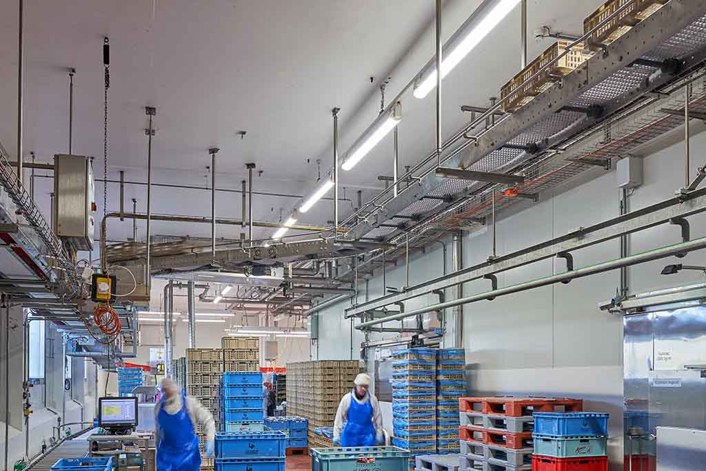 LED-Beleuchtung von NORKA in einer Lebensmittelproduktionshalle – energieeffiziente Ausleuchtung mit hoher Lichtqualität und optimalen Bedingungen für sensible Produktionsbereiche.