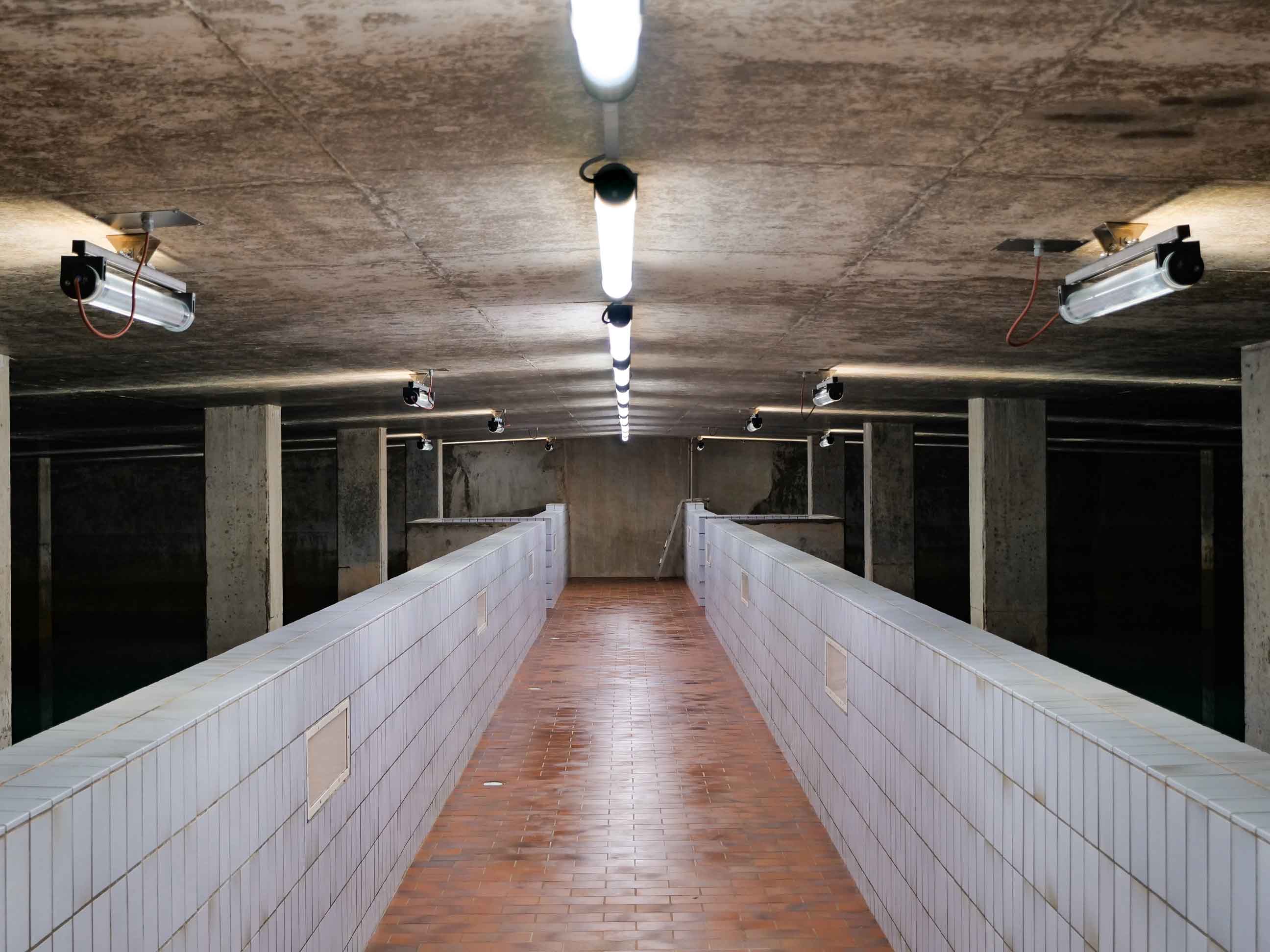 Multiple ZUG LED luminaires from NORKA arranged in a row for uniform lighting of the water storage walkway under extreme conditions.