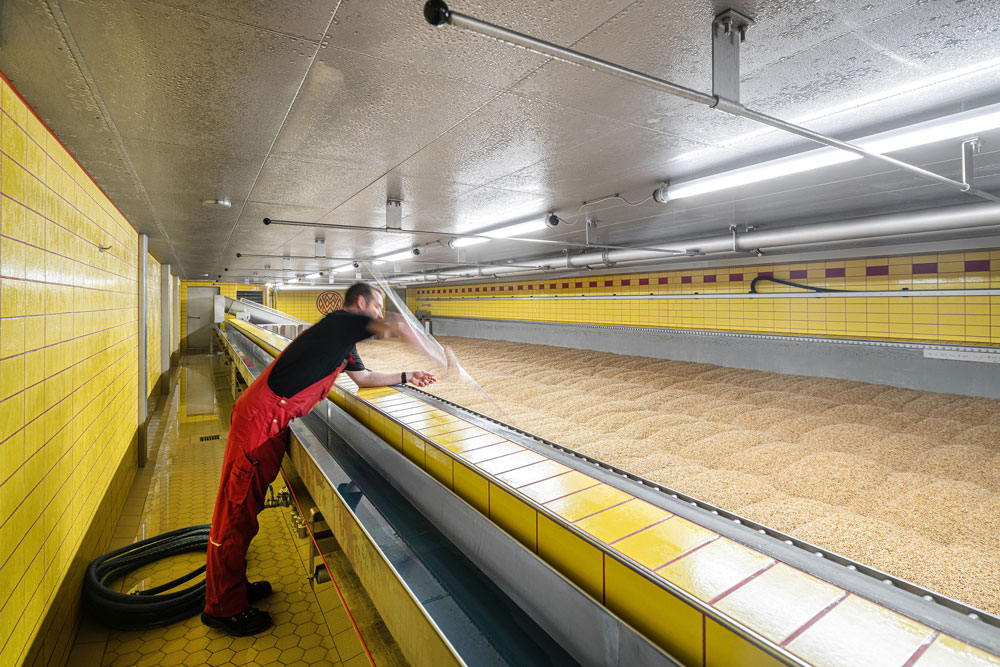 ZUG LED-Rohrleuchten als LED Beleuchtung für die Lebensmittelindustrie im Keimkasten bei Weyermann®, die feuchten Gerstenkörner werden optimal ausgeleuchtet.
