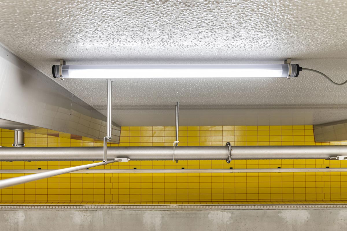 ZUG LED-Rohrleuchte als LED Beleuchtung für die Lebensmittelindustrie, montiert an der Decke eines feuchten Keimkastens bei Weyermann®, sorgt für hygienische und effiziente Ausleuchtung.