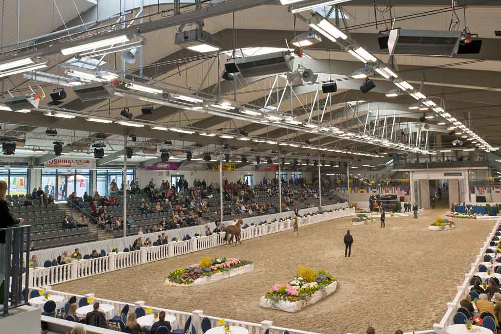 Les vaches se trouvent dans leurs étables, baignées d'une lumière uniforme.