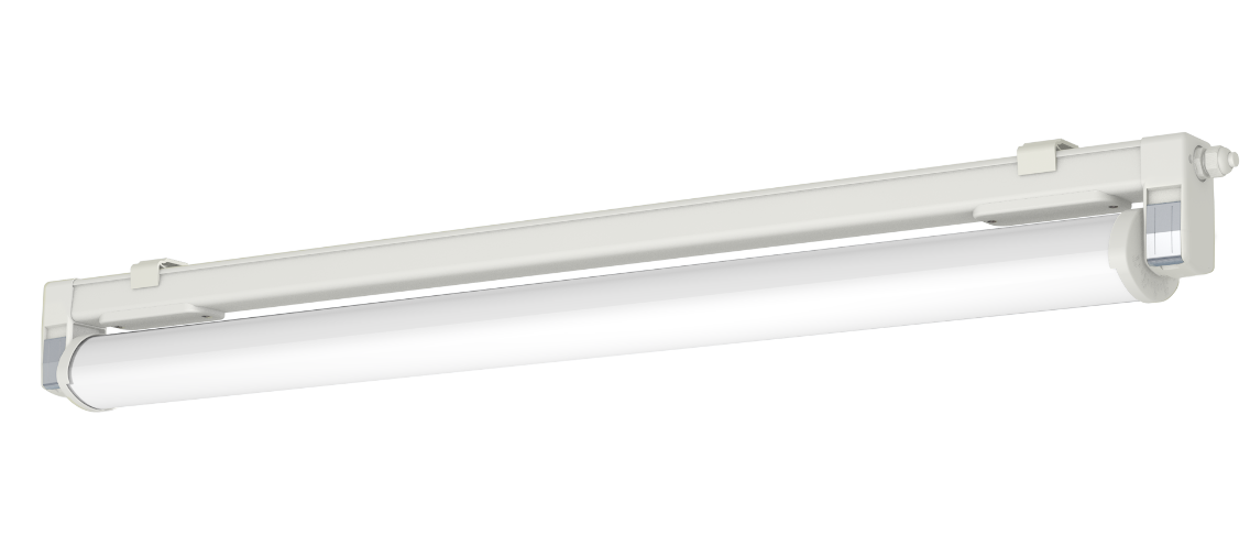 COESFELD PLUS