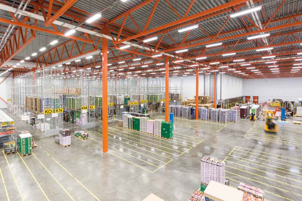 Luminaires for surface and recessed mounting